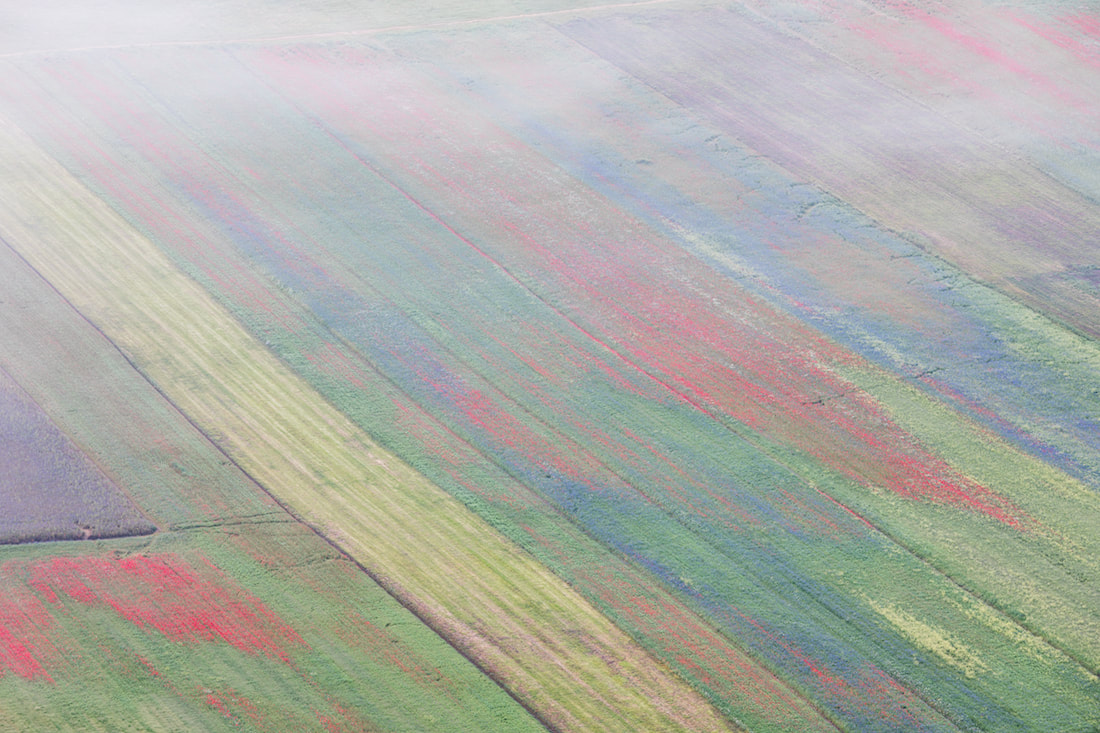 Vista dall'alto della celebre piana di Castelluccio di Norcia durante la fioritura