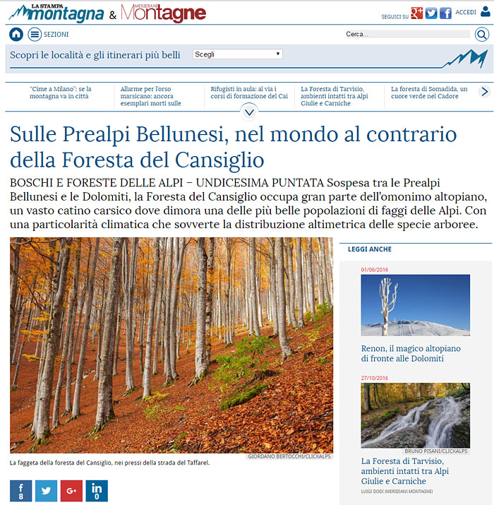 Foresta del Cansiglio Veneto escursioni La Stampa Itinerari di montagna