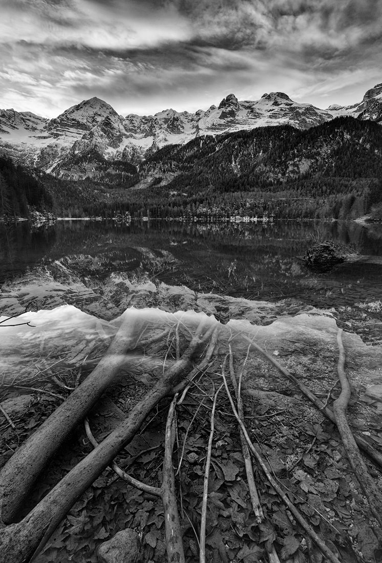 Tronchi rami ormai secchi nel lago di Tovel guidano lo sguardo verso la catena delle Dolomiti di Brenta