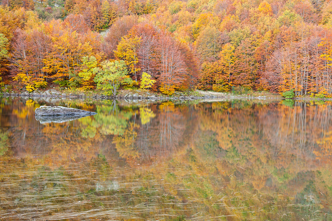 Il bosco di faggio si specchia in autunno nelle acque del lago Santo modenese, sull'Appennino